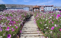 百度影音av网站